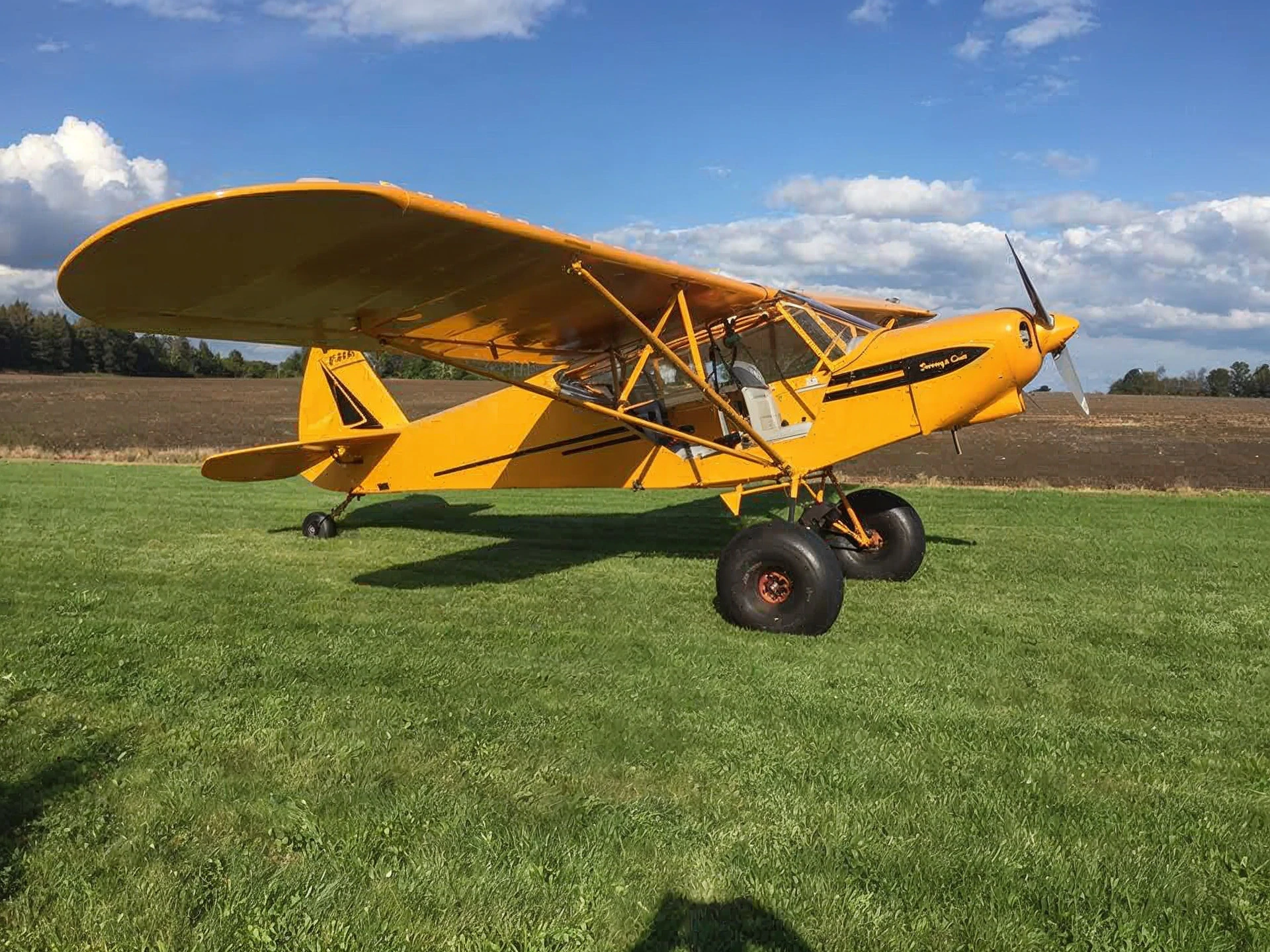 Yellow Savage Cub at the grass airfield